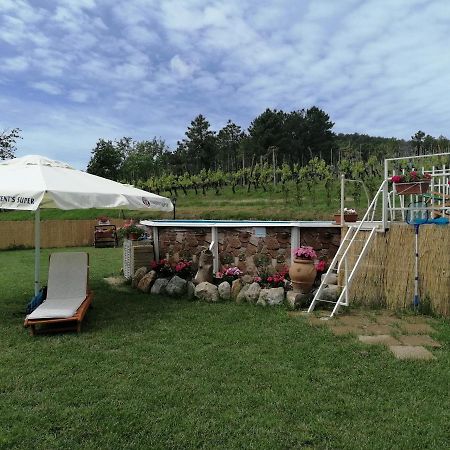 Villa La Casa Dei Nonni à Chianni Extérieur photo